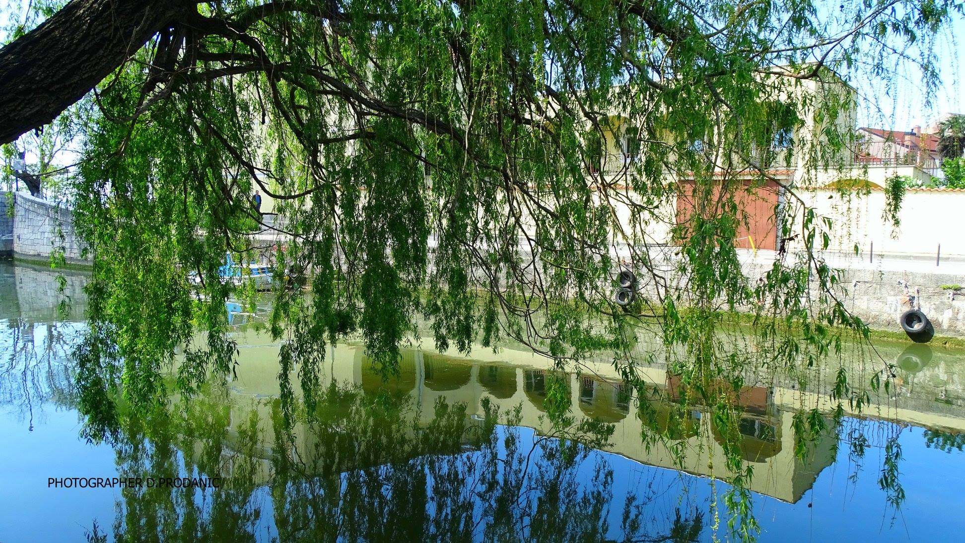 Dalibor Prodo Prodanić2