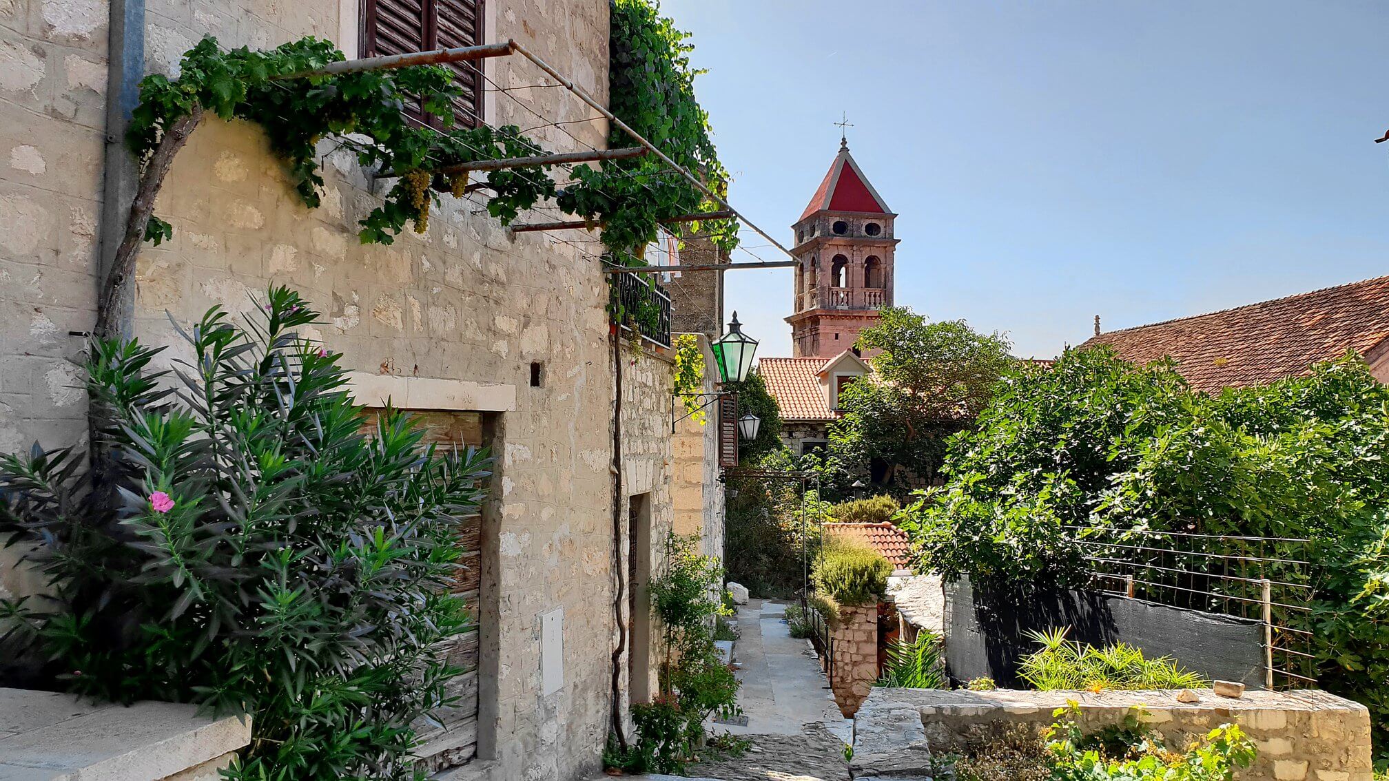 40244691 10213406138321684 3097388087248945152 o