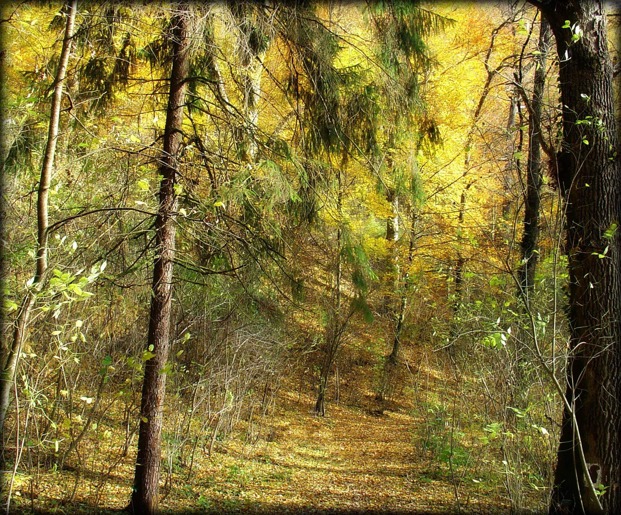 Stubicke toplice autumn 