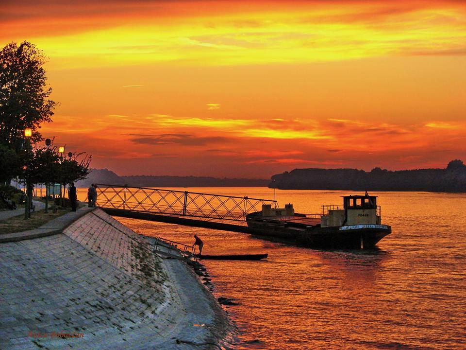 Dunav